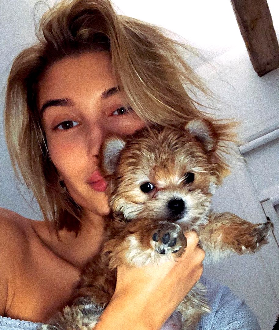 治癒心靈系列：5個明星寵物 instagram 帳號