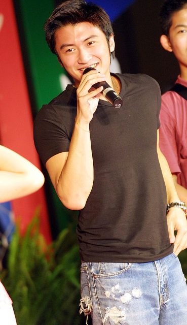 兩鬢斑白都可認得你:細看謝霆鋒與王菲的轟烈愛情故事