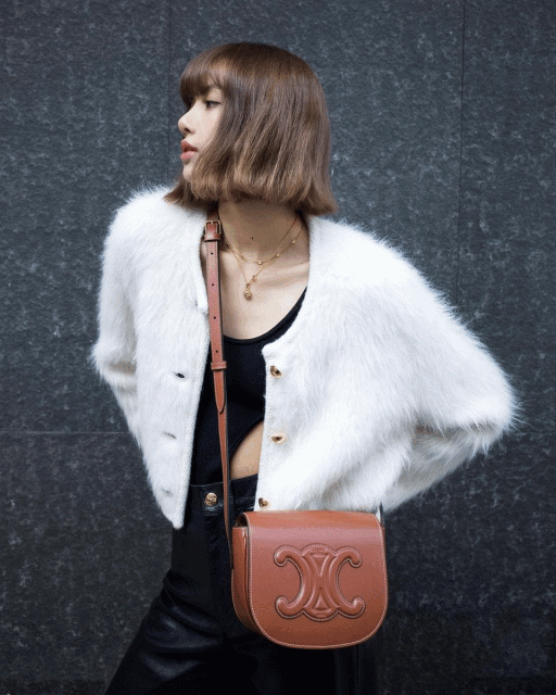 Celine 下一個 It Bag 已強勢登場！盤點 5 款全新 Cuir Triomphe 系列矚目手袋